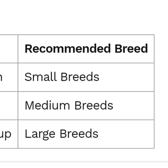 Slow Feeder for Dogs - Picture 8 of 8